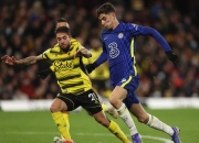 沃特福德主场战平布莱顿，保持不败表现