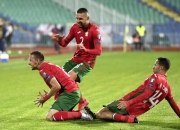 绝地反击！奥地利爱尔兰欧国联之争的简单介绍